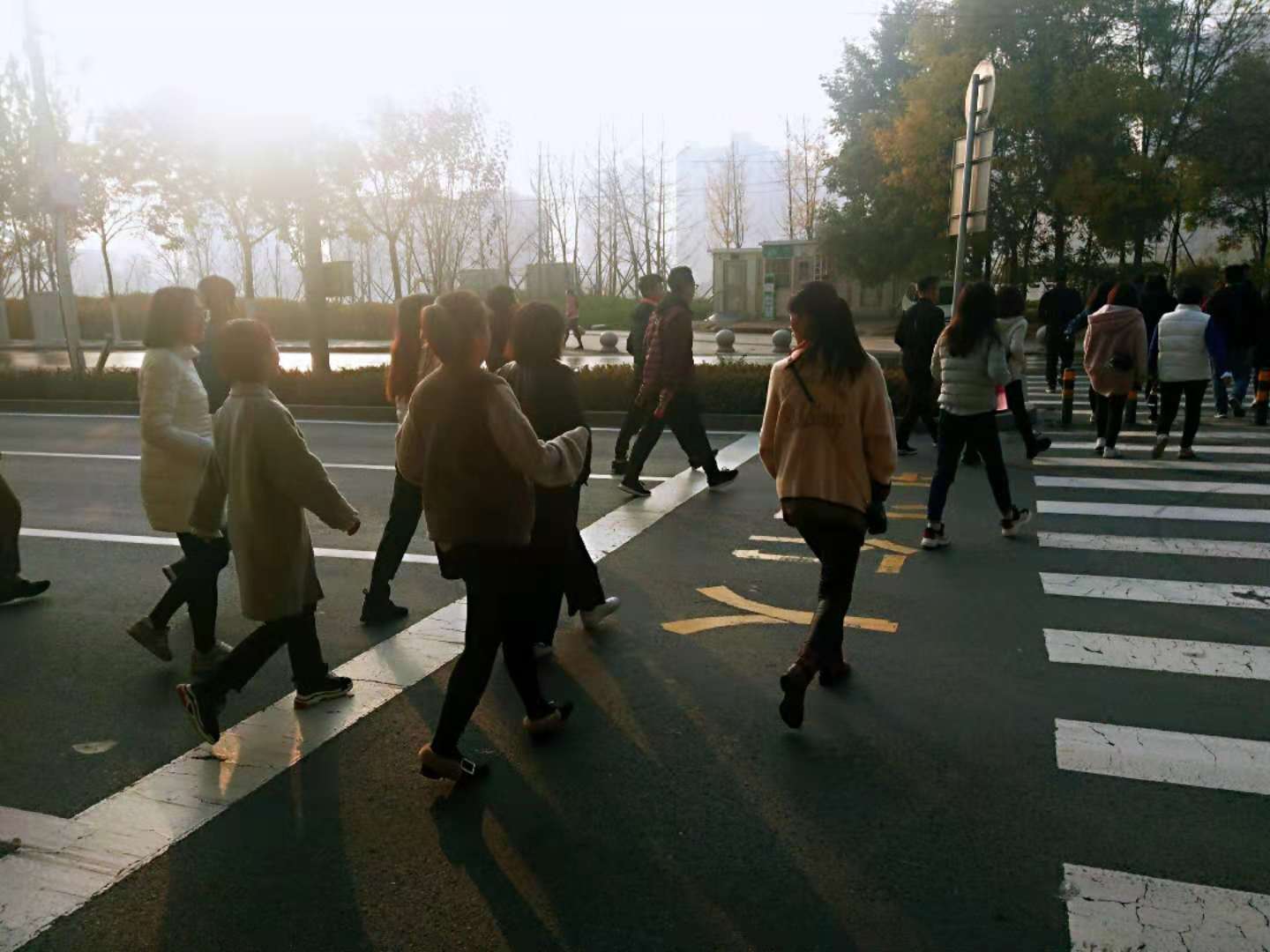 微信图片_20181118163123.jpg