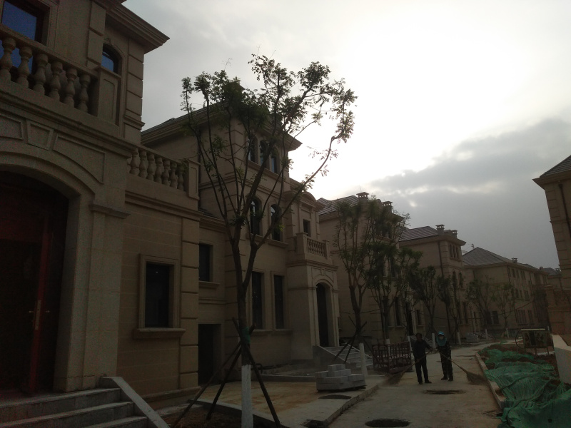 IMG_20191010_155147R.jpg IMG_20191010_155147R.jpg