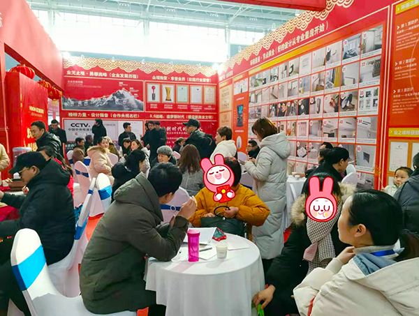 谈单兔子jpg.jpg