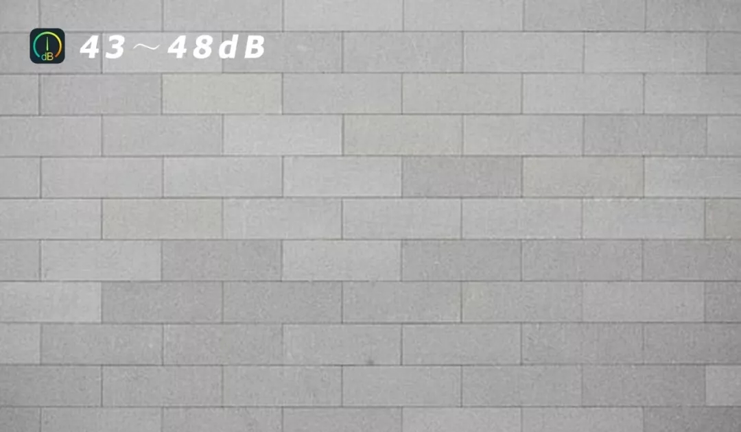 8.webp.jpg