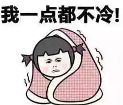 c2ddf1385c3c0f5546575c19886d493.png
