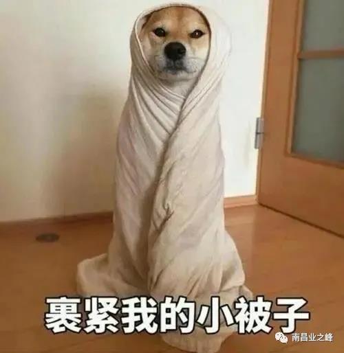 微信图片_20201206094914.jpg