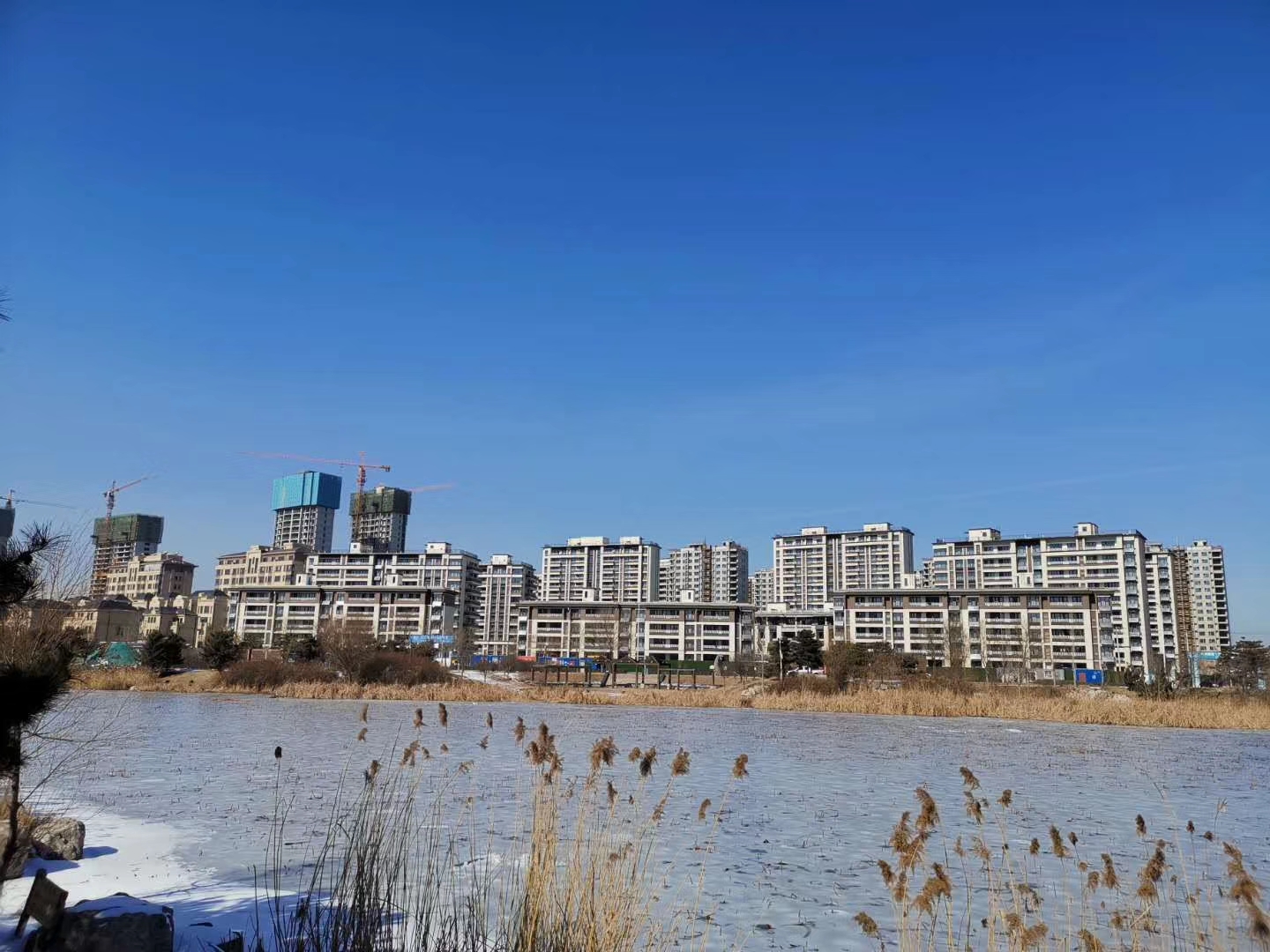 微信图片_20200221120146.jpg