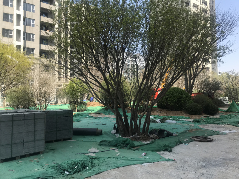微信图片_20200413150923.jpg