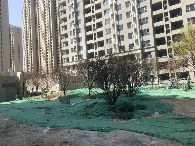 微信图片_20200413150929.jpg