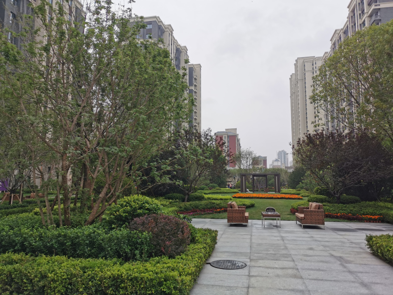 微信图片_20200625170444.jpg