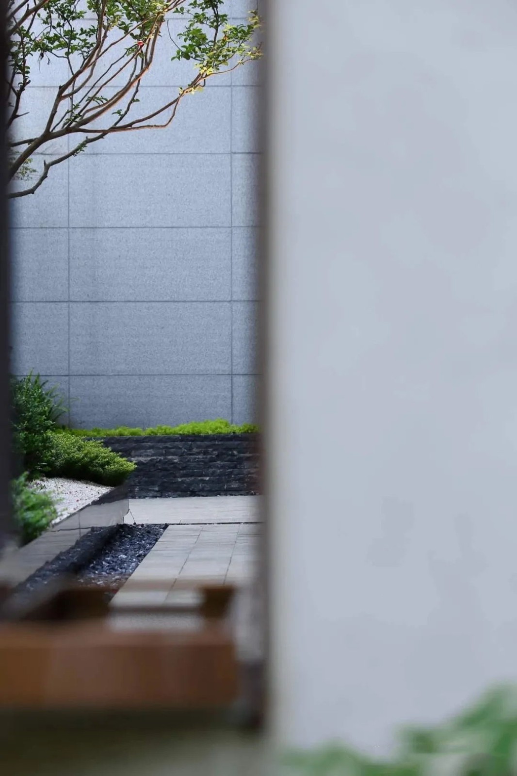 2.webp (1)_看图王.jpg